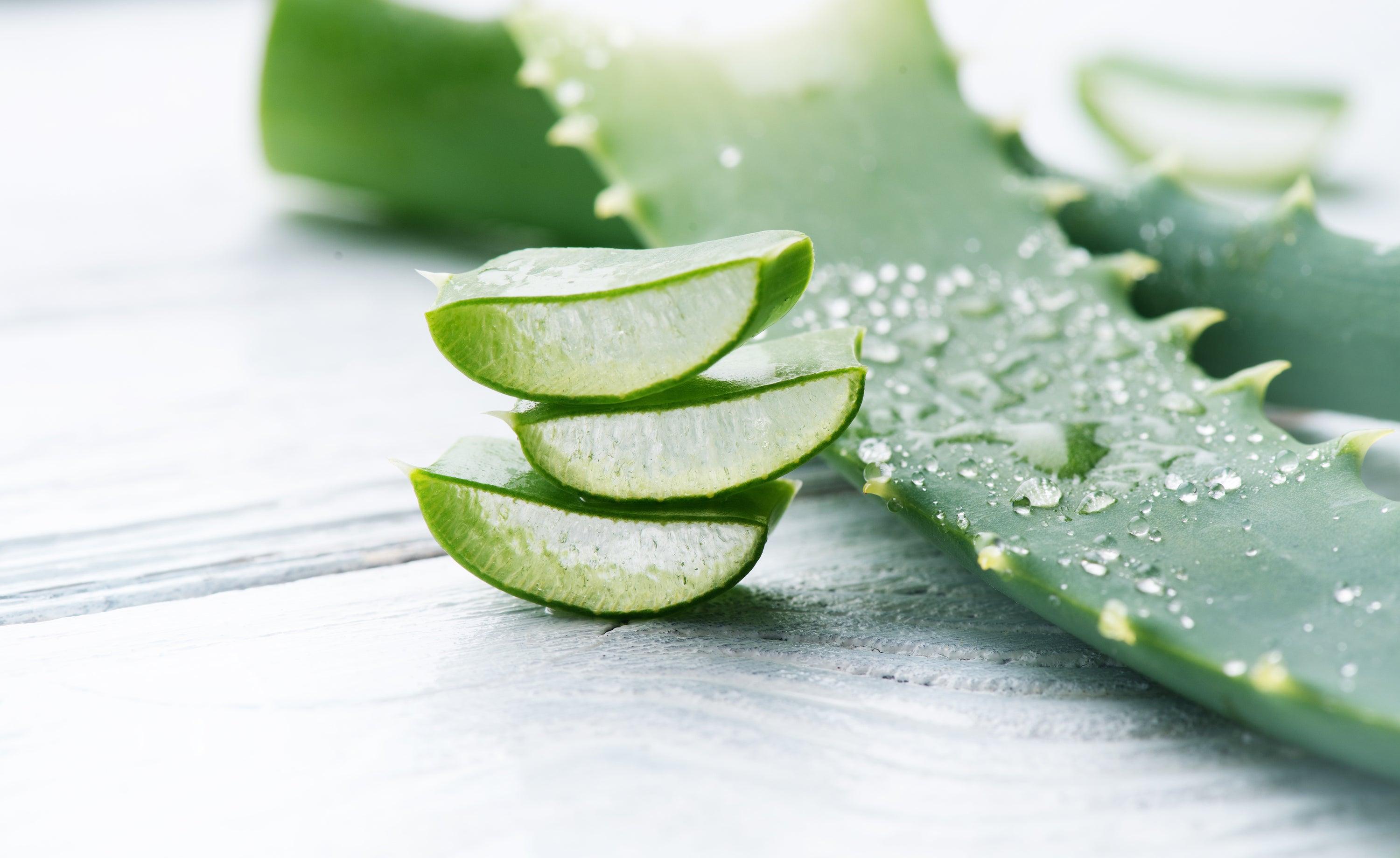 ALOE VERA - DIE LÖSUNG FÜR TROCKENE HAUT